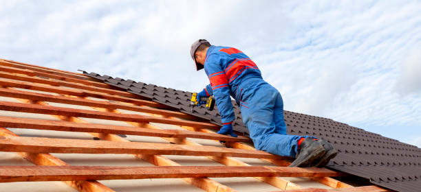 Best Skylight Installation and Repair  in Ofallon, MO